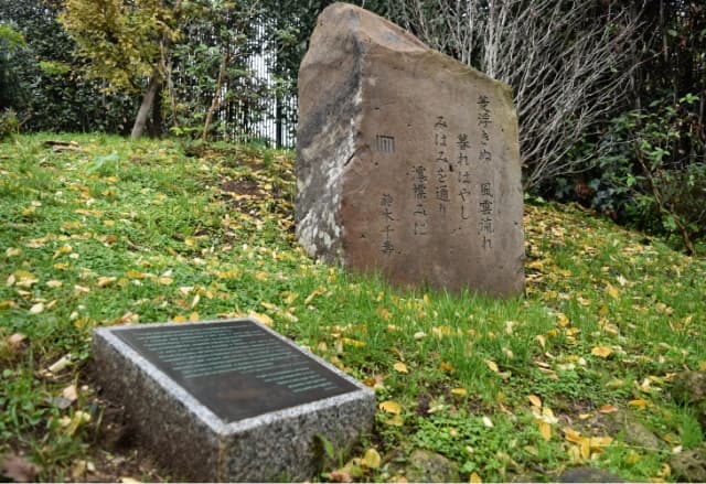 next project thumbnail