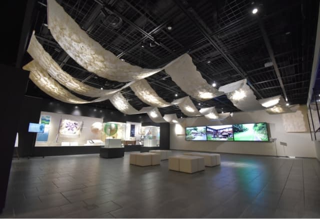 next project thumbnail