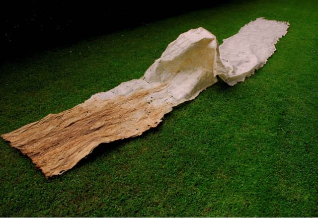 next project thumbnail