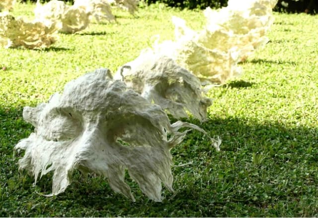 next project thumbnail