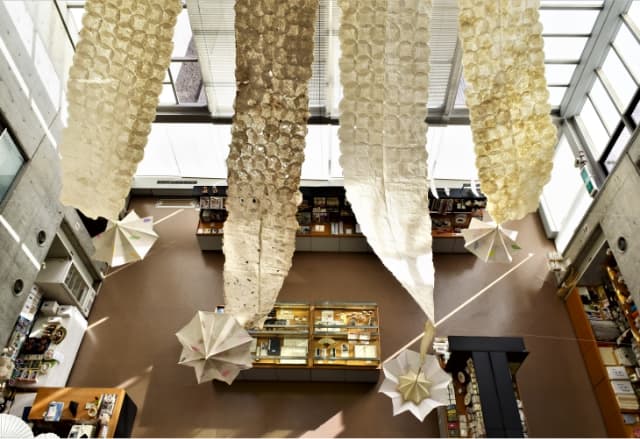 next project thumbnail