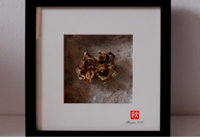 next project thumbnail