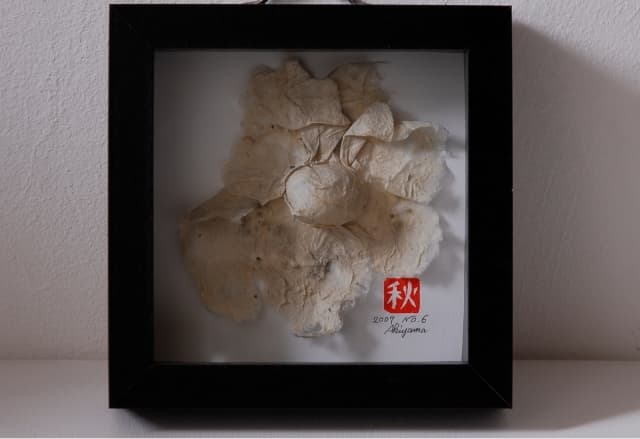 next project thumbnail